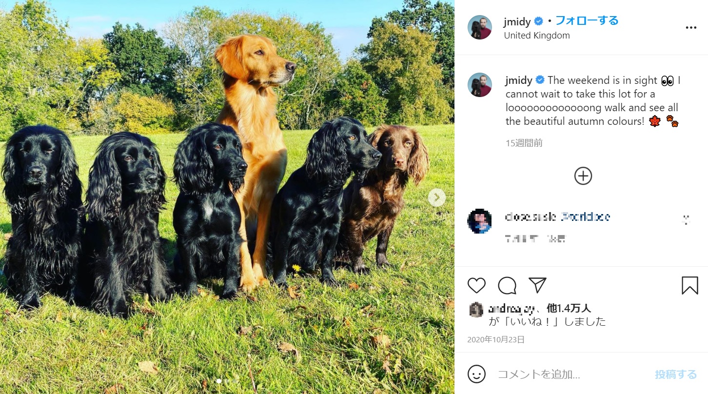 ジェームズさんの大切な家族達（画像は『James Middleton　2020年10月23日付Instagram「The weekend is in sight」』のスクリーンショット）