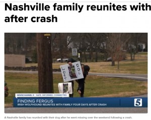 ミッキーさんは看板を作り、必死にファーガスの捜索を行った（画像は『NewsChannel 5 Nashville　2021年2月4日付「Nashville family reunites with lost dog days after crash」』のスクリーンショット）