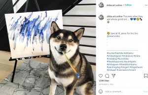 【海外発！Breaking News】絵を描く柴犬、画家デビュー4年で売り上げ190万円超に！（カナダ）＜動画あり＞