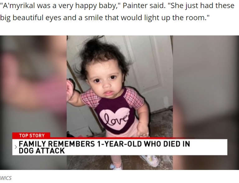 歩き始めたばかりのアミリカルちゃん（画像は『WSYX　2021年3月20日付「Dog kills toddler after she got too close to food bowl」（Photo provided by the family）』のスクリーンショット）