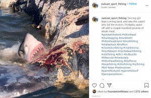 【海外発！Breaking News】クジラの死骸をむさぼるサメ、その瞬間をカメラが捉えた（米）＜動画あり＞