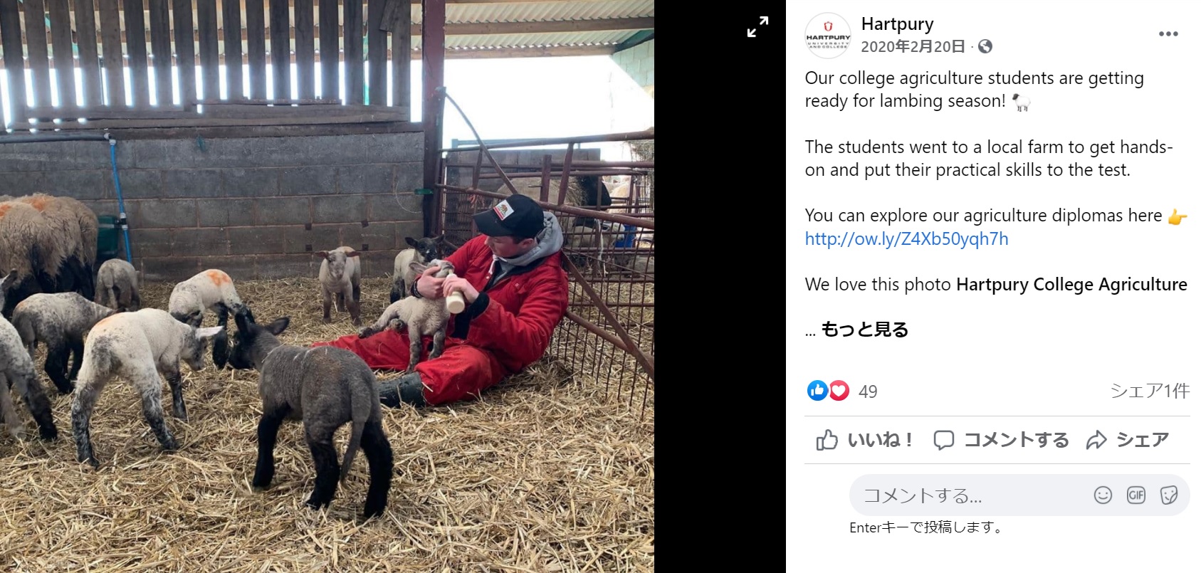 学生たちも出産ラッシュの手伝いをしている（画像は『Hartpury　2020年2月20日付Facebook「Our college agriculture students are getting ready for lambing season!」』のスクリーンショット）