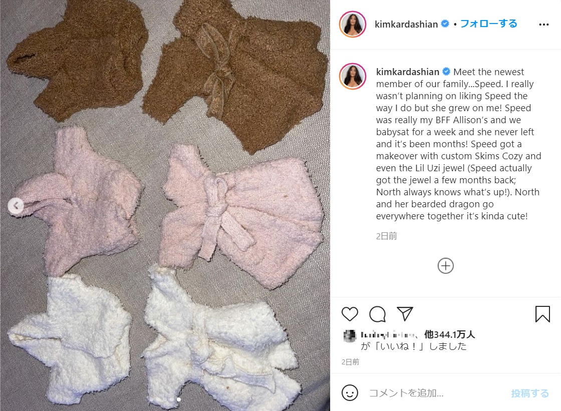 ベストドレッサー賞は確実？（画像は『Kim Kardashian West　2021年3月3日付Instagram「Meet the newest member of our family...Speed.」』のスクリーンショット）