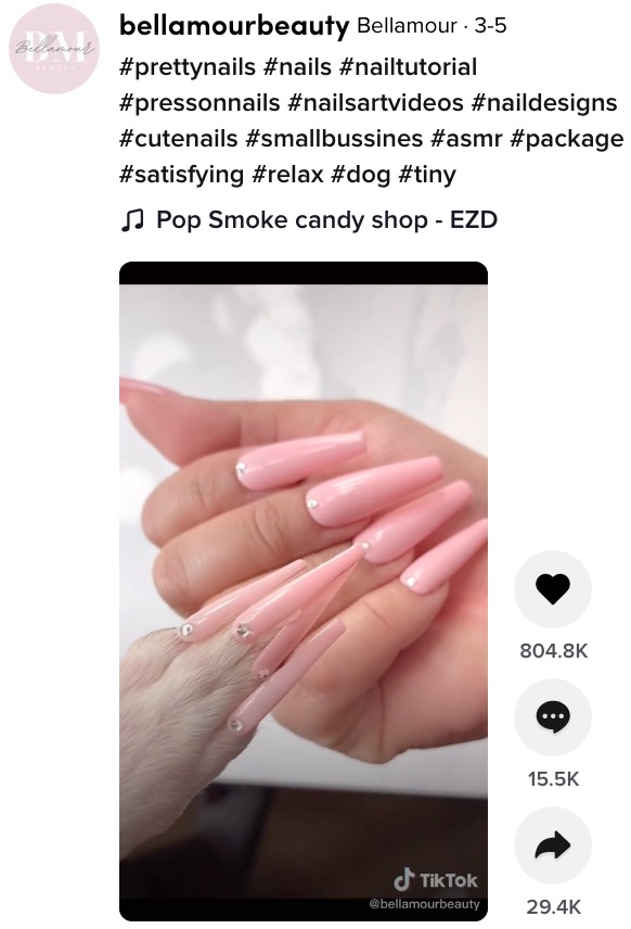 飼い犬にお揃いの付け爪を施したネイリスト（画像は『Bellamour　2021年3月5日付TikTok「＃prettynails ＃nails ＃nailtutorial ＃pressonnails ＃nailsartvideos」』のスクリーンショット）