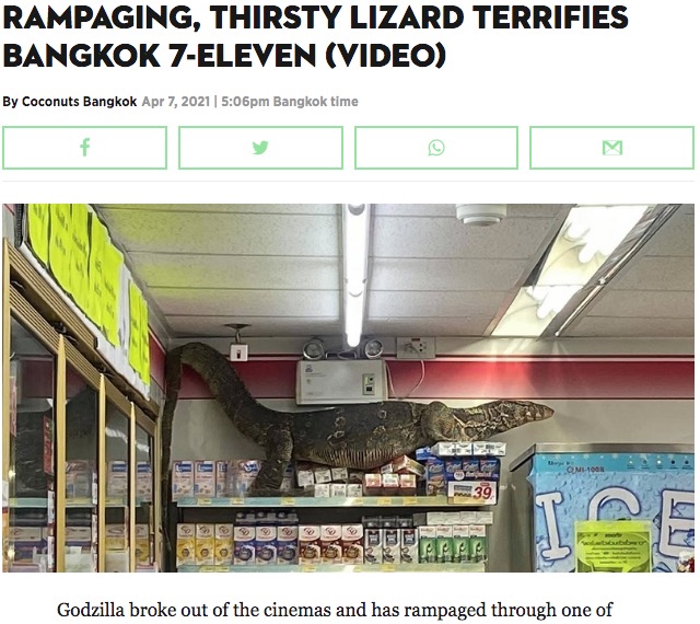 セブン-イレブン店内に現れた巨大なトカゲ（画像は『Coconuts Bangkok　2021年4月7日付「Rampaging, thirsty lizard terrifies Bangkok 7-Eleven （Video）」』のスクリーンショット）