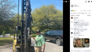 【海外発！Breaking News】3メートル超の巨大ワニを仕留めたハンター　24年間行方不明だった犬の悲しい結末が明らかに（米）