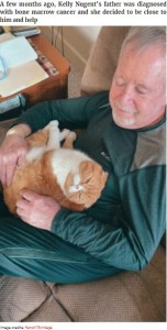 男性に甘えるスイート・ポテト（画像は『Bored Panda　2021年4月14日付「Cat Refuses To Leave The Side Of His Grandpa Who’s Fighting Cancer」（Image credits: french75vintage）』のスクリーンショット）