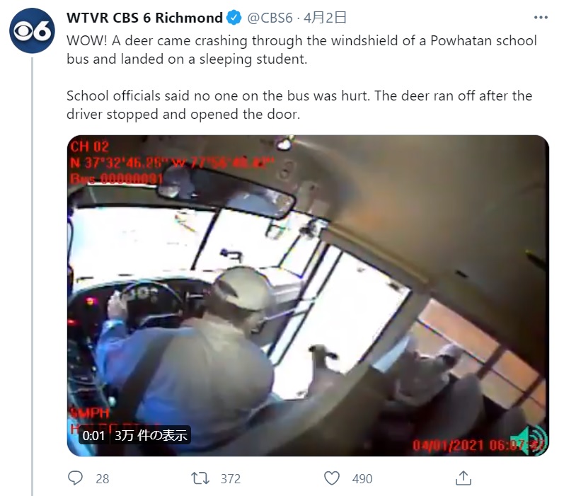 運転手の冷静な対応に驚きの声（画像は『WTVR CBS 6 Richmond　2021年4月2日付Twitter「WOW! A deer came crashing through the windshield of a Powhatan school bus and landed on a sleeping student.」』のスクリーンショット）