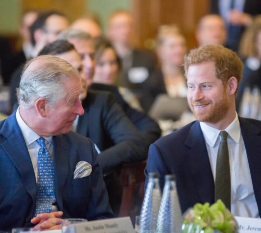 チャールズ国王とヘンリー王子、将来は和解も？（画像は『Clarence House　2018年2月14日付Instagram「Today The Prince of Wales hosted a meeting in London to discuss how organisations can work to improve coral reef health.」』のスクリーンショット）