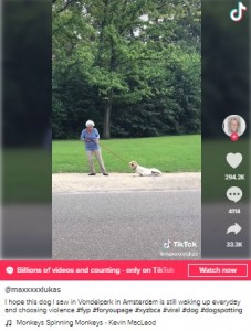 帰らない犬を力づくで引っ張る飼い主（画像は『Maximilian Lukas　2021年2月20日付TikTok「I hope this dog I saw in Vondelpark in Amsterdam is still waking up everyday」』のスクリーンショット）