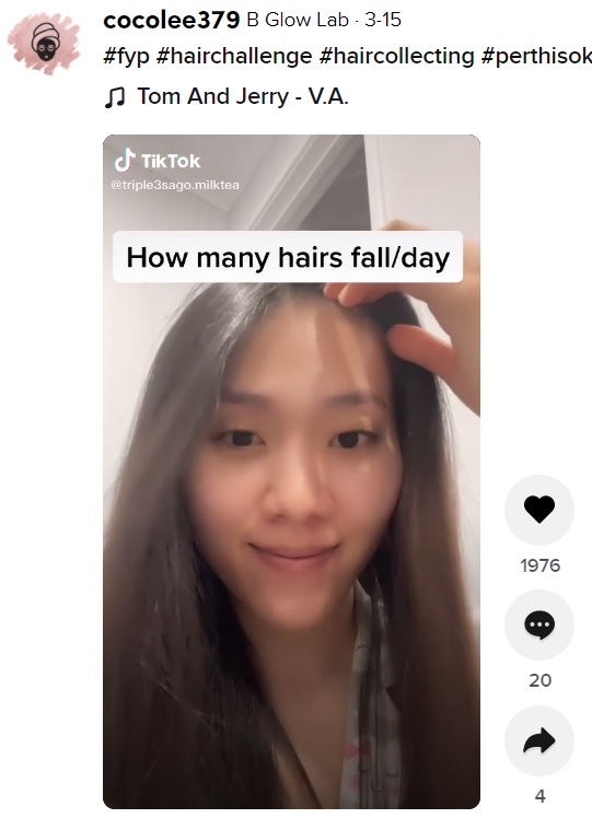 抜け落ちた自分の髪の毛でエクステを作り始めた女性（画像は『cocolee379　2021年3月15日付TikTok「＃fyp ＃hairchallenge ＃haircollecting ＃perthisok ＃viet」』のスクリーンショット）