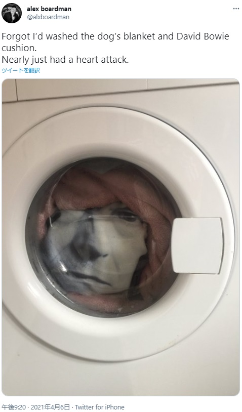 洗濯機の中から覗く男？（画像は『alex boardman　2021年4月6日付Twitter「Forgot I’d washed the dog’s blanket and David Bowie cushion.」』のスクリーンショット）