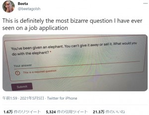 職探し中に奇妙な質問を見つけたベータさん（画像は『Beeta　2021年5月5日付Twitter「This is definitely the most bizarre question I have ever seen on a job application」』のスクリーンショット）