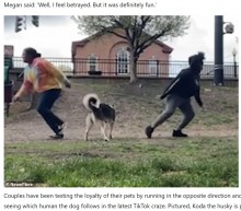 【海外発！Breaking News】愛犬の信頼度を測るチャレンジが話題に　落ちている枝に負ける飼い主も（米）＜動画あり＞