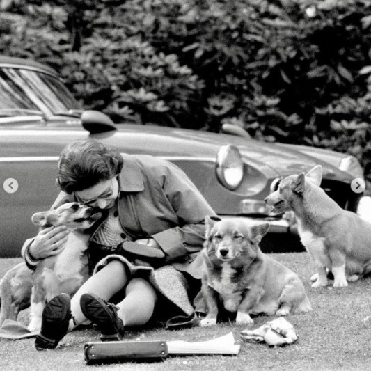 コーギーに囲まれて暮らしてきた女王（画像は『The Royal Family　2020年4月17日付Instagram「Today we are marking National Pet Month.」』のスクリーンショット）