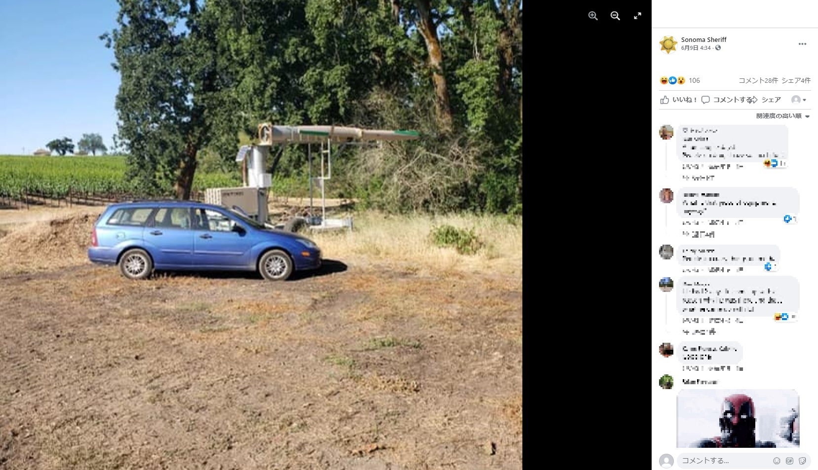 農地にポツンと駐められていた車（画像は『Sonoma Sheriff　2021年6月9日付Facebook「Hide and seek is a two player game, at a minimum. Let’s find out why ...」』のスクリーンショット）