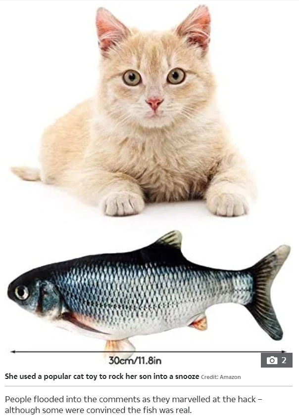 猫用の魚型おもちゃに意外な使い道が…（画像は『The Sun　2021年6月4日付「PURR-FECT TRICK Parents rave over ￡5 cat toy they swear instantly puts their babies to sleep」（Credit: Amazon）』のスクリーンショット）