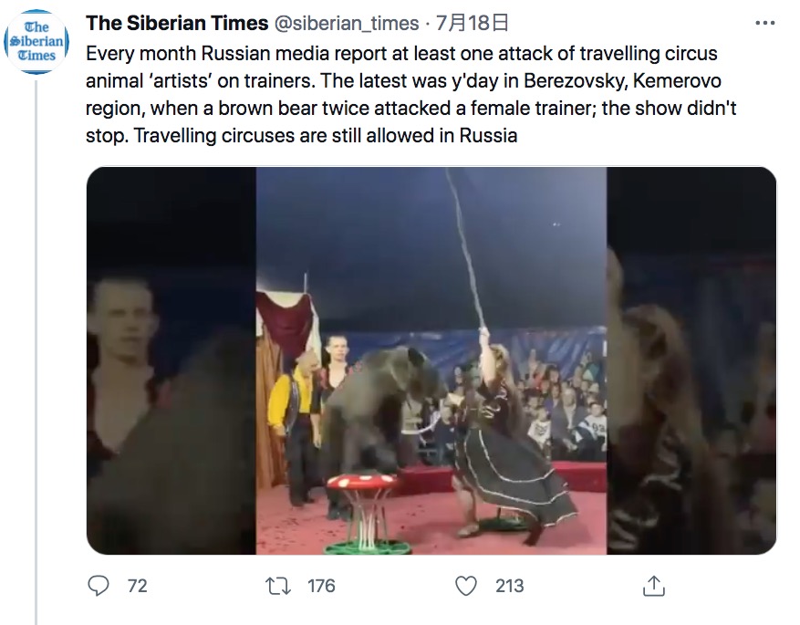 ロシアのサーカス団のショーの様子（画像は『The Siberian Times　2021年7月18日付Twitter「Every month Russian media report at least one attack of travelling circus animal ‘artists’ on trainers.」』のスクリーンショット）