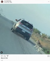 【海外発！Breaking News】置き去りにした飼い主の車を必死に追う犬、新しい家族のもとで幸せに（米）＜動画あり＞