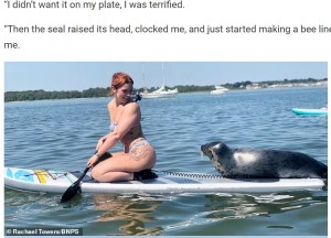 休憩する場所が欲しかった？（画像は『WhatsNew2Day　2021年7月28日付「Seal Stuns Paddleboarder As He Hops On Her Board As She Cruises Through Dorset Harbour」（Rachael Towers/BNPS）』のスクリーンショット）