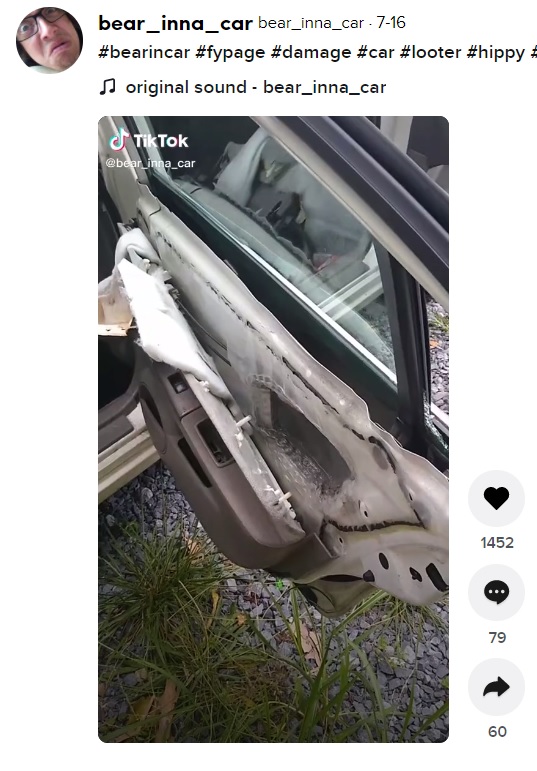 ドアの内側の部品も、完全に剥がされてしまった（画像は『bear_inna_car　2021年7月16日付TikTok「＃bearincar ＃fypage ＃damage ＃car ＃looter ＃hippy ＃bear ＃gta」』のスクリーンショット）