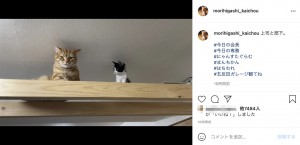 会長と専務、仲良くなれた？（画像は『（株）ザ・森東 会長　2021年7月4日付Instagram「上司と部下。」』のスクリーンショット）