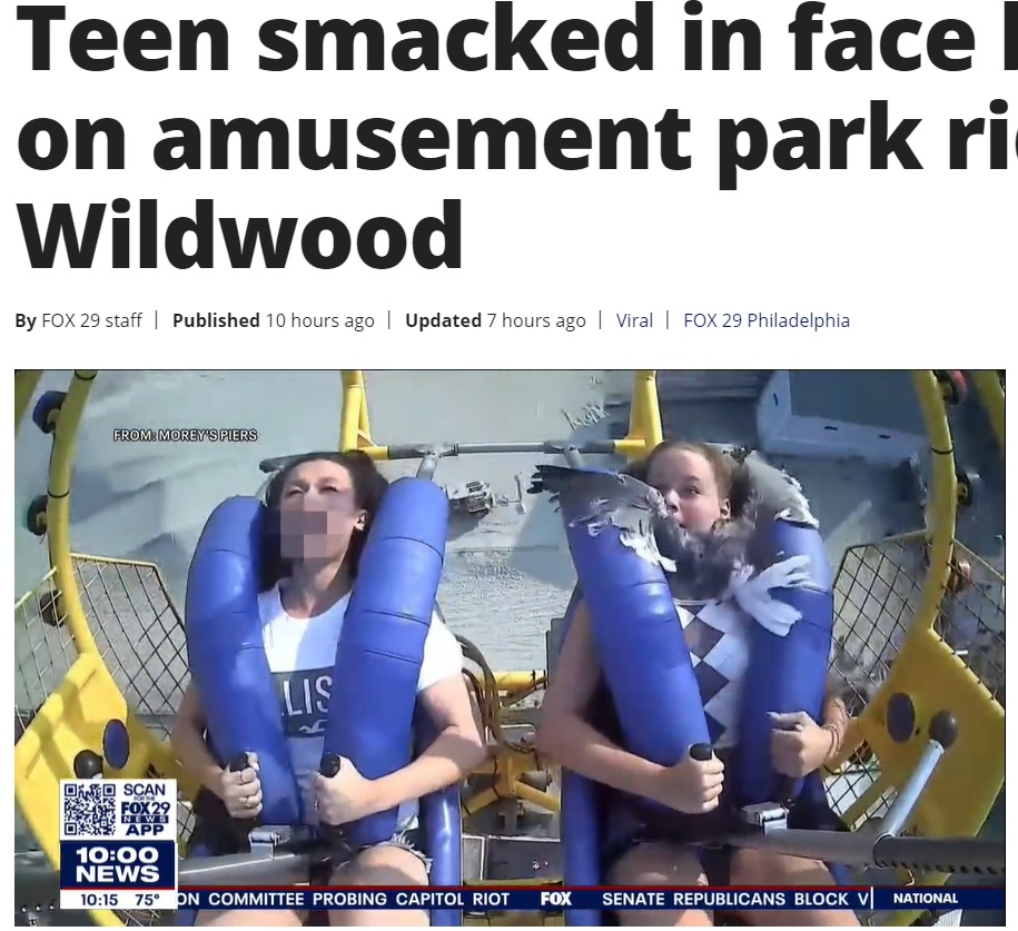 羽を広げて衝突したカモメ（画像は『FOX 29 News Philadelphia　2021年7月23日付「Teen smacked in face by seagull on amusement park ride in Wildwood」』のスクリーンショット）
