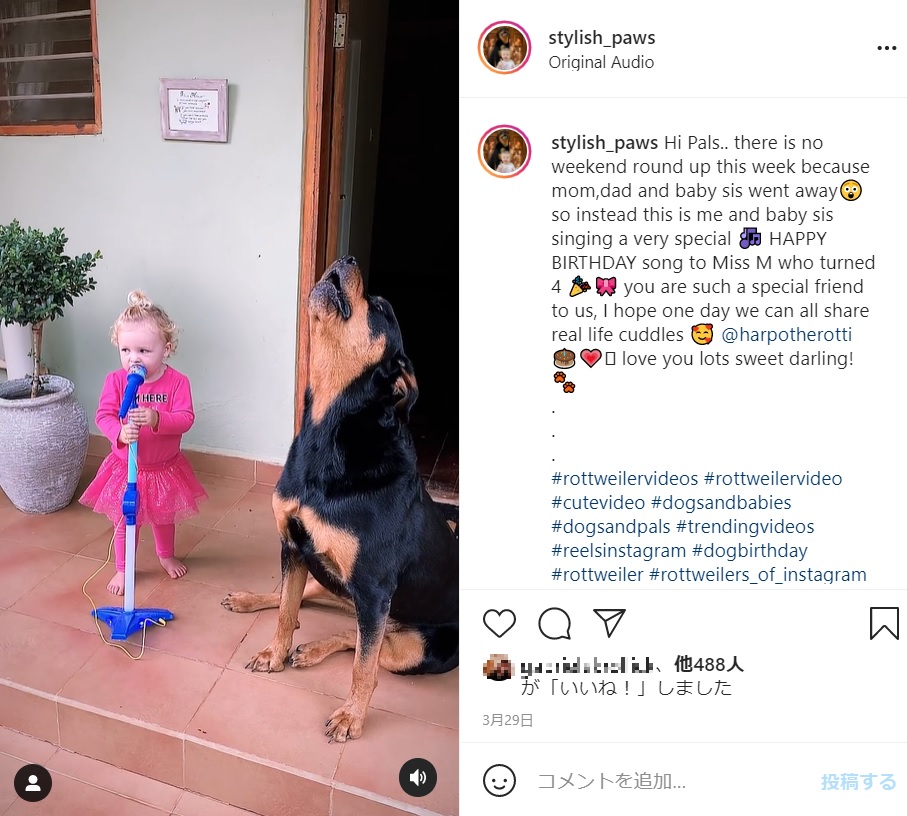 2歳女の子と犬がデュエット？（画像は『Stylish Paws　2021年3月29日付Instagram「Hi Pals.. there is no weekend round up this week because mom,dad and baby sis went away」』のスクリーンショット）