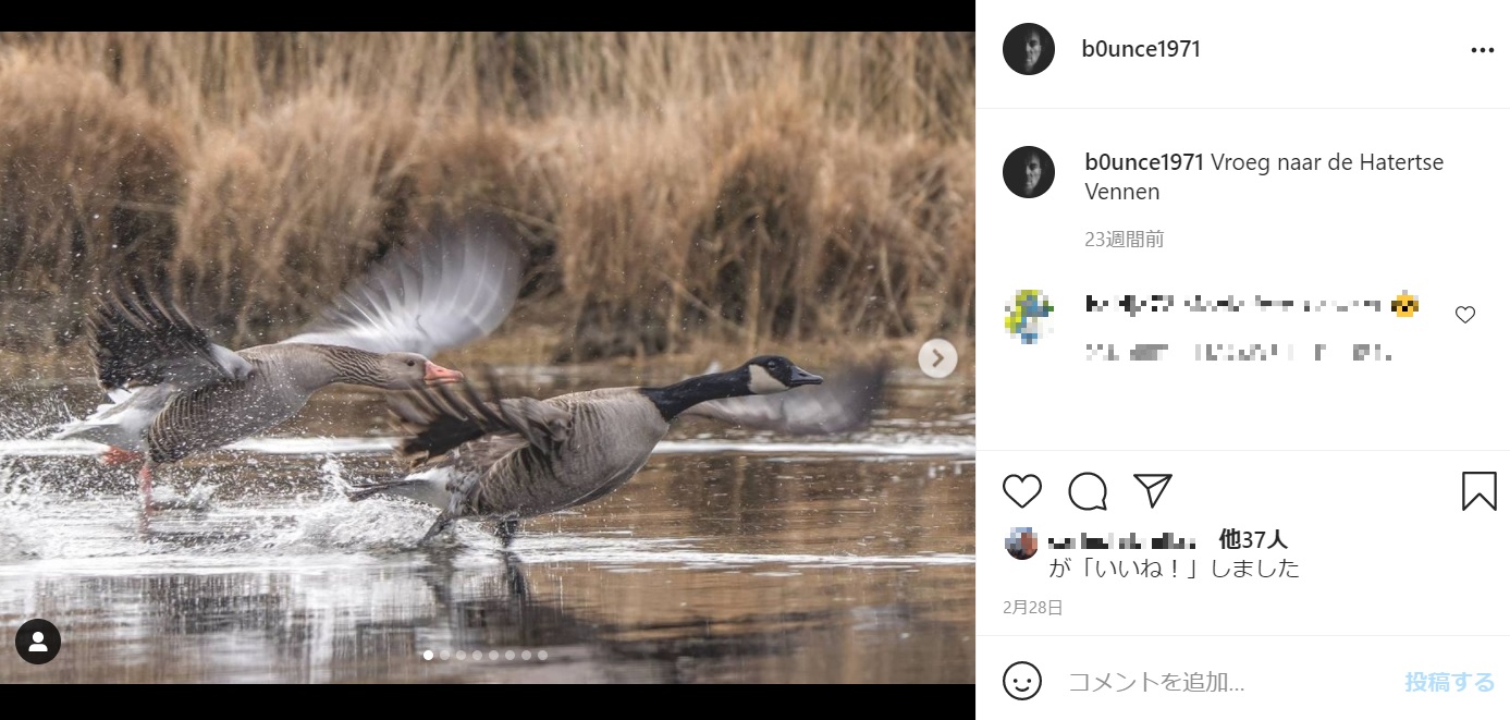 通常は足を地面に向けて飛行するが…（画像は『Vincent TC　2021年2月28日付Instagram「Vroeg naar de Hatertse Vennen」』のスクリーンショット）