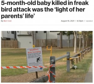 現場にはマグパイによる攻撃の注意喚起を行う看板が増設（画像は『New York Post　2021年8月10日付「5-month-old baby killed in freak bird attack was the ‘light of her parents’ life’」』のスクリーンショット）