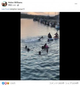 イルカは尾ひれを使って水しぶきを上げており、海水浴客と一緒に遊びたかった様子（画像は『Helen Williams　2021年8月23日付Facebook「Lee Ford dolphin tamer!!!」』のスクリーンショット）