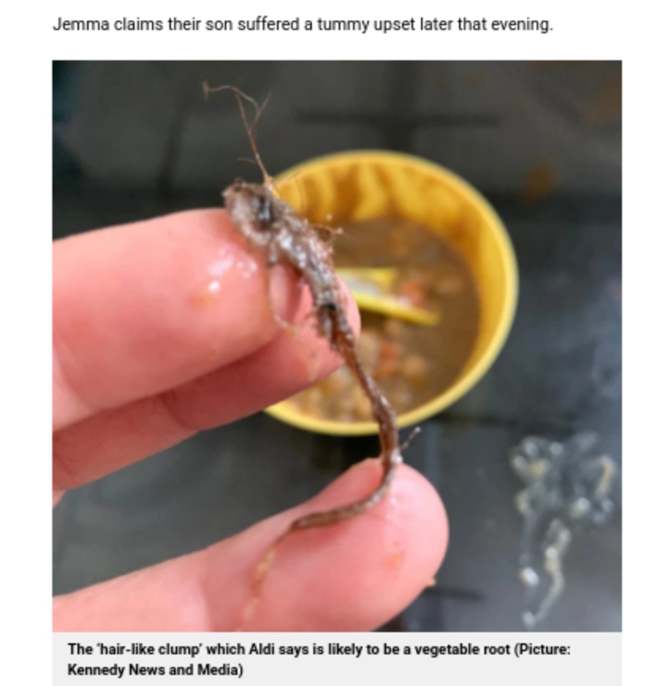 これは髪の毛か？　それとも野菜の根か？（画像は『Metro　2021年9月1日付「Mum finds ‘clump of hair’ in baby food but Aldi says it’s plant roots」（Picture: Kennedy News and Media）』のスクリーンショット）