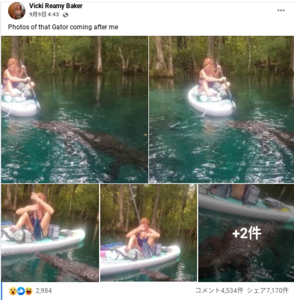 襲ってくるワニをパドルで撃退したヴィッキーさん（画像は『Vicki Reamy Baker　2021年9月9日付Facebook「Photos of that Gator coming after me」』のスクリーンショット）