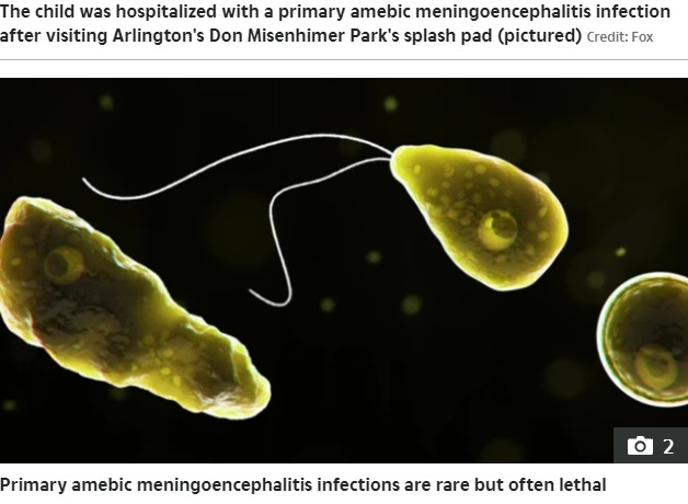 殺人アメーバ「フォーラーネグレリア」（画像は『The Sun　2021年9月28日付「TESTING ‘FAILURE’ Boy dies from BRAIN-EATING amoeba found in public splash pad as city admits it could have been caused by human error」（Credit: Centers For Disease Control（CDC）』のスクリーンショット）