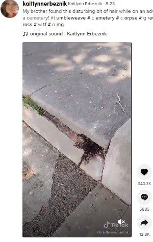 お墓から飛び出したのは遺体の髪!?（画像は『Kaitlynn Erbeznik　2021年8月23日付TikTok「My brother found this disturbing bit of hair」』のスクリーンショット）