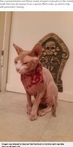 血がべっとりついたモルボ（画像は『Metro　2021年9月8日付「Horrified woman wakes up covered in her cat’s blood - only to realise he’d got into her special effects makeup」（Picture: PA Real Life）』のスクリーンショット）