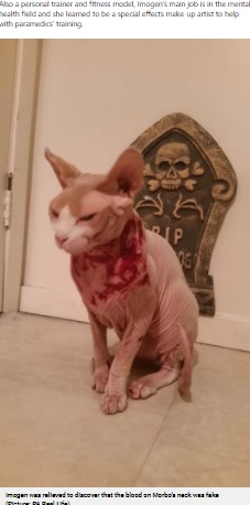 血がべっとりついたモルボ（画像は『Metro　2021年9月8日付「Horrified woman wakes up covered in her cat’s blood - only to realise he’d got into her special effects makeup」（Picture: PA Real Life）』のスクリーンショット）