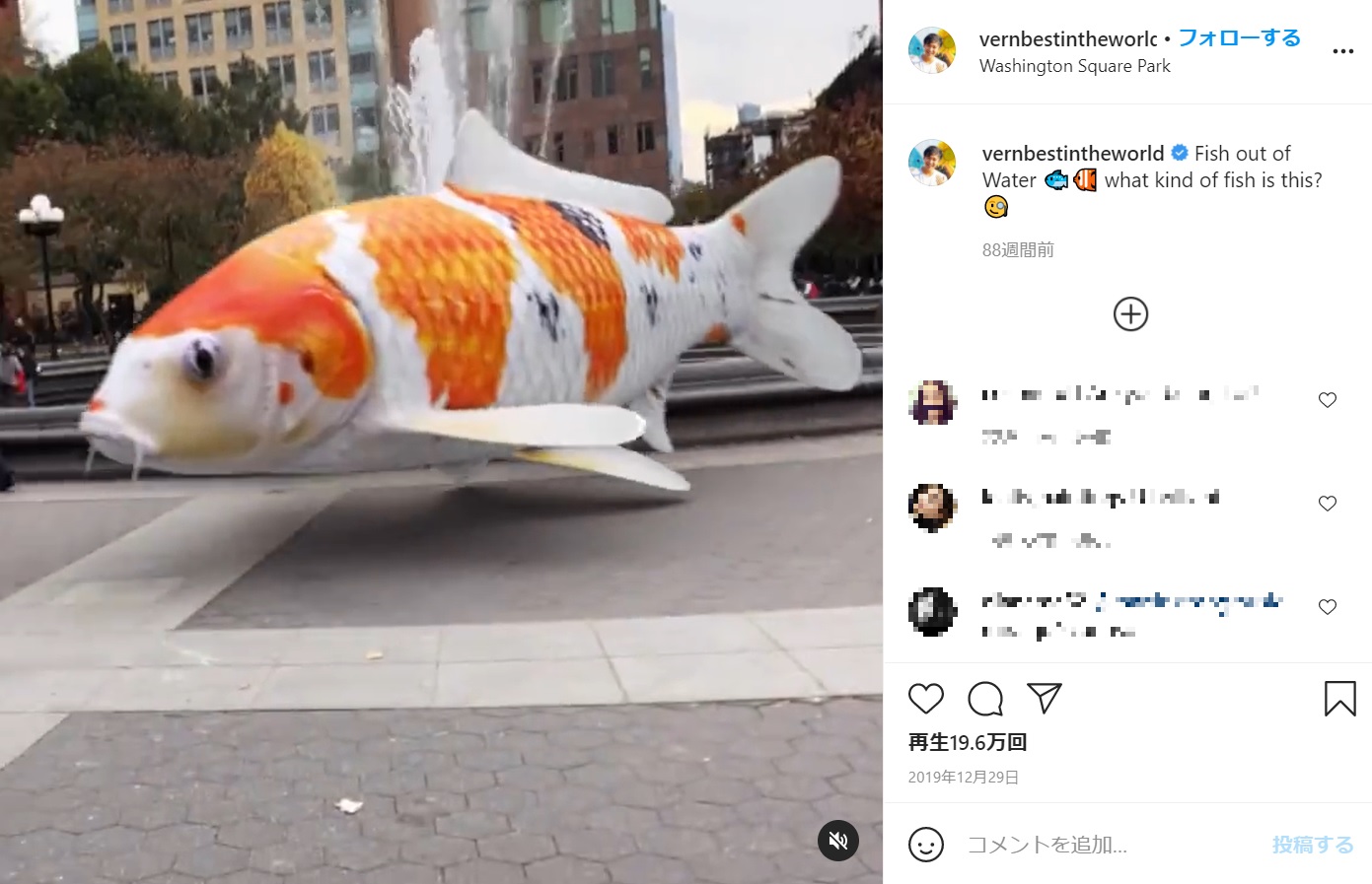 噴水の前を悠々と泳ぐ大きな鯉（画像は『Vernon James Manlapaz　2019年12月29日付Instagram「Fish out of Water」』のスクリーンショット）