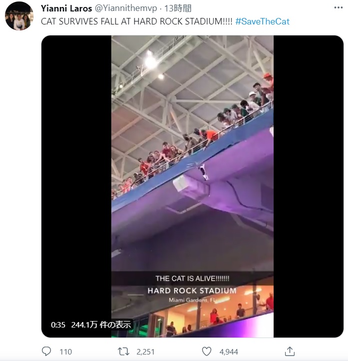 2階デッキの手すりで危機に陥った猫（画像は『Yianni Laros　2021年9月12日付Twitter「CAT SURVIVES FALL AT HARD ROCK STADIUM!!!!」』のスクリーンショット）