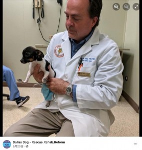 慎重にチェックする獣医（画像は『Dallas Dog - Rescue.Rehab.Reform　2021年5月20日付Facebook「Siggi Update Siggi doing well this morning.」』のスクリーンショット）