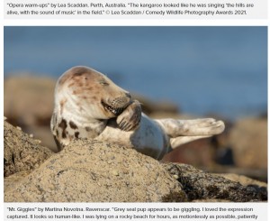 【海外発！Breaking News】絶望する子カワウソや微笑みを返すヘビ　野生動物コメディ写真コンテストの最終候補作品が笑い誘う