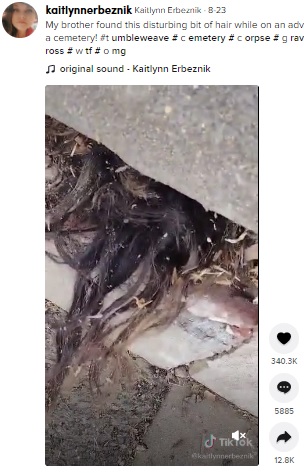 コンクリートの割れ目から髪の毛が！（画像は『Kaitlynn Erbeznik　2021年8月23日付TikTok「My brother found this disturbing bit of hair」』のスクリーンショット）