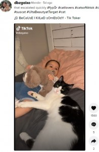 1歳になりずいぶんと成長したスシとシオマラちゃん（画像は『Mandie　2021年9月2日付TikTok「that escalated quickly」』のスクリーンショット）