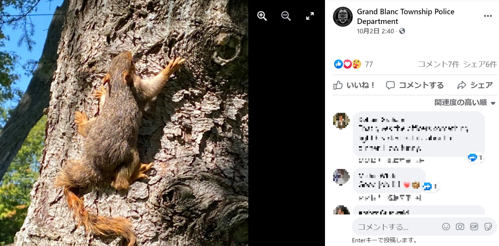 救出後、リスの尻尾の毛は大きく乱れていた（画像は『Grand Blanc Township Police Department　2021年10月2日付Facebook「SQUIRREL!!! Takes on a whole new meaning for officers.」』のスクリーンショット）