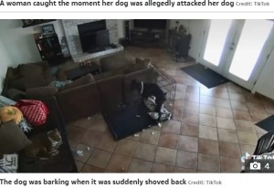 何かに押されたかのように後ろに下がる犬（画像は『The Sun　2021年10月20日付TikTok「CAUGHT ON CAMERA Disturbing video shows how ‘ghost’ takes off dog’s collar while tormenting family every day」（Credit: TikTok）』のスクリーンショット）