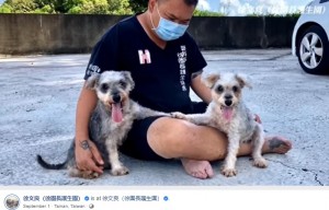 【海外発！Breaking News】繁殖後に毛の塊に覆われ捨てられた2匹の犬、第2の人生を歩む（台湾）＜動画あり＞