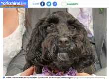 【海外発！Breaking News】隣家の火事をいち早く察知した聴導犬　寝ていた飼い主を起こして救う（英）