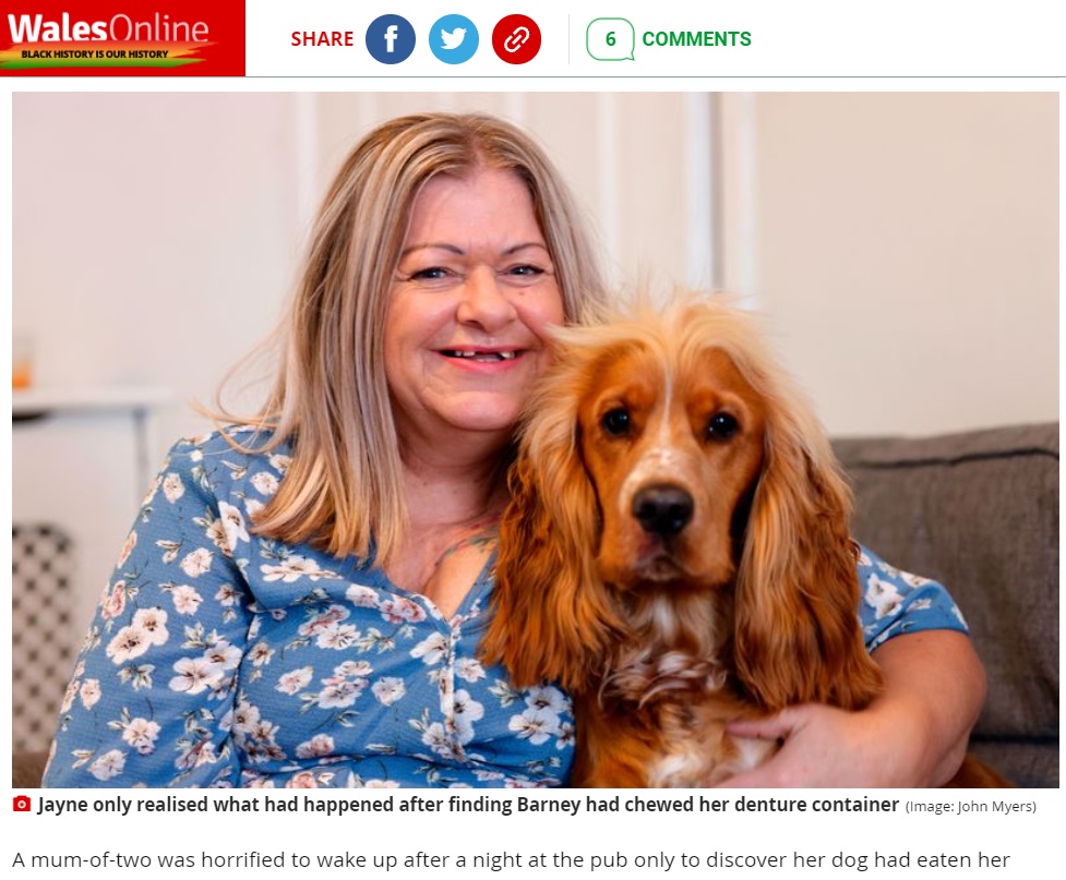 前歯のない状態で笑顔を見せる女性（画像は『WalesOnline　2021年10月25日付「Mum wakes up after night at the pub to find her dog has eaten her false teeth」（Image: John Myers）』のスクリーンショット）