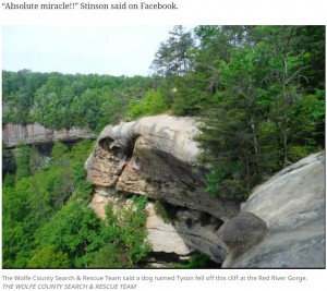 タイソンが滑落したレッド・リバー・ゴージの崖（画像は『The Kansas City Star　2021年10月25日付「Dog chasing lizard falls off 170-foot cliff in Kentucky - and survives, officials say」（THE WOLFE COUNTY SEARCH ＆ RESCUE TEAM）』のスクリーンショット）