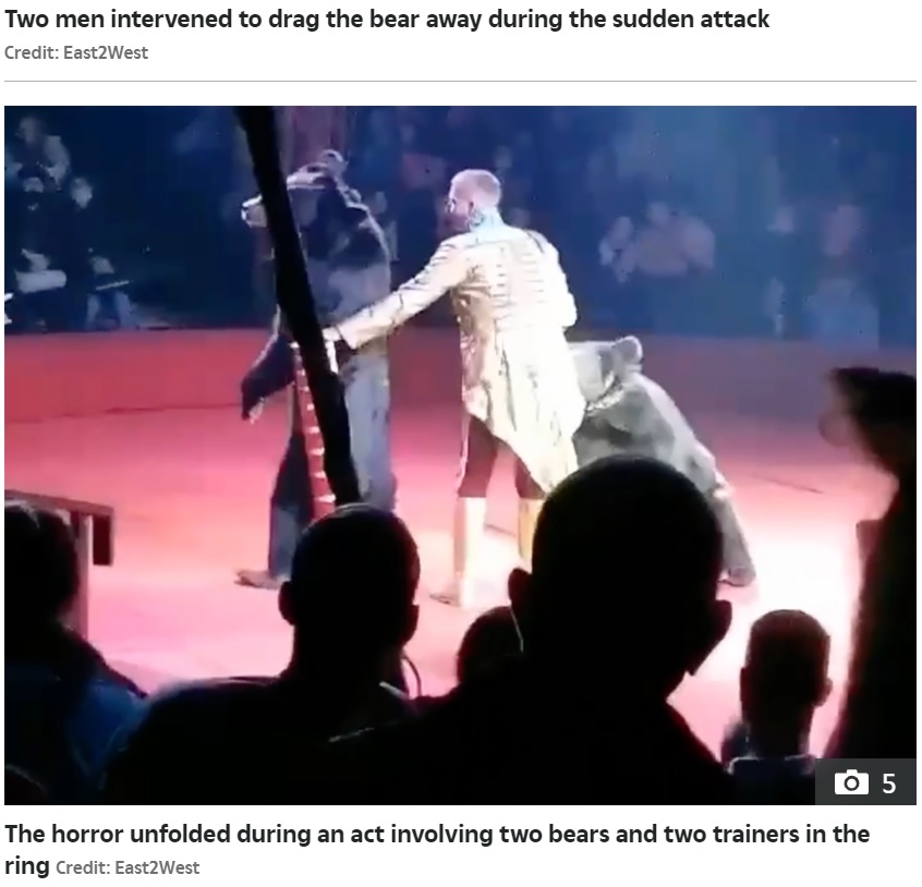 当時のステージには2頭のクマが（画像は『The Sun　2021年10月17日付「BEAR RAGE Horror moment ‘jealous’ brown bear attacks pregnant circus performer in front of screaming children」（Credit: East2West）』のスクリーンショット）